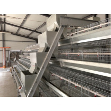 Layer Chicken Cage for Poultry Farm